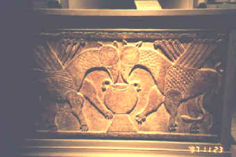 daenzer8.jpg (22648 bytes)